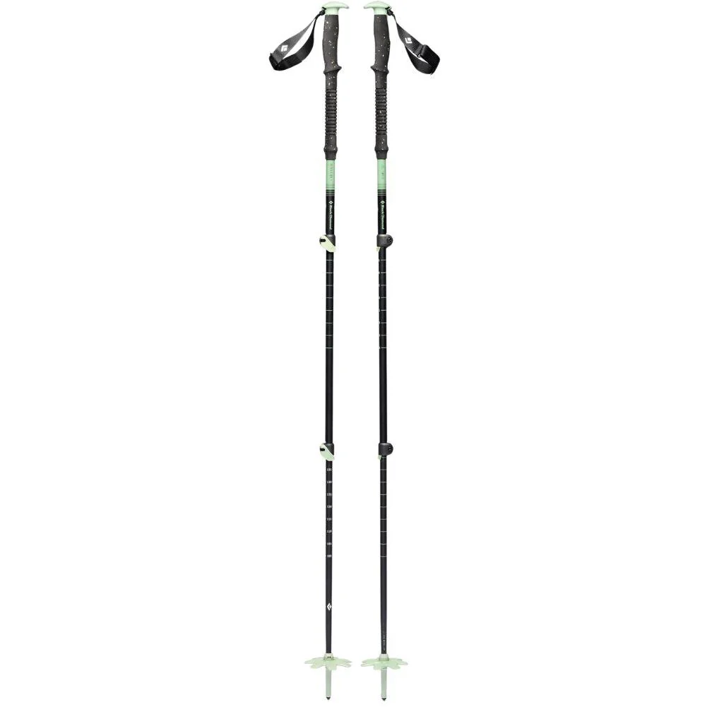 Black Diamond Expedition 3 Ski Poles - 125cm (Desert Sage)
