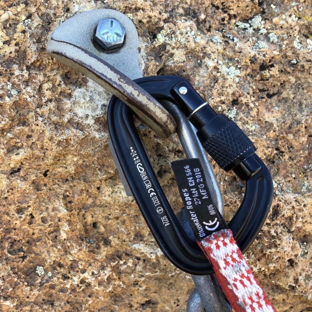 Black Diamond LiteForge Screwgate Carabiner (Black) - Image 2
