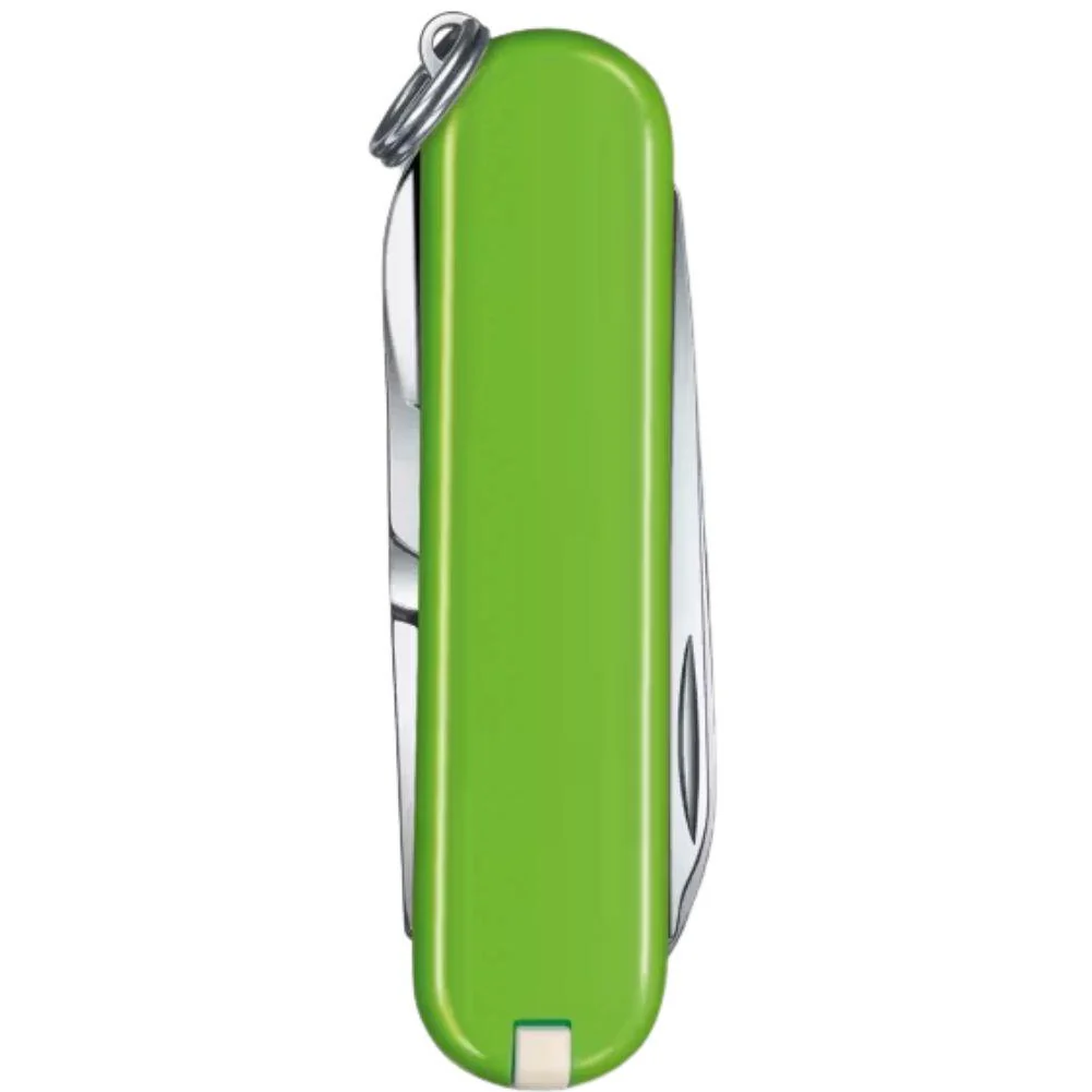 Victorinox Classic SD Swiss Army Knife (Green) - Image 3